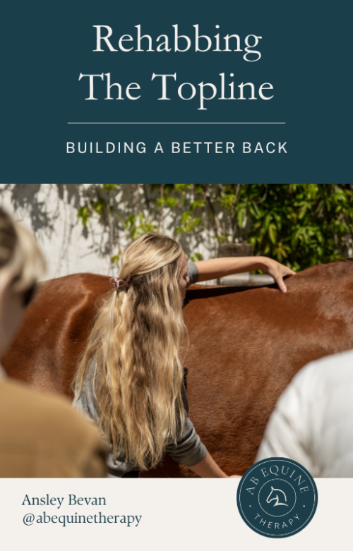 Rehabbing The Topline