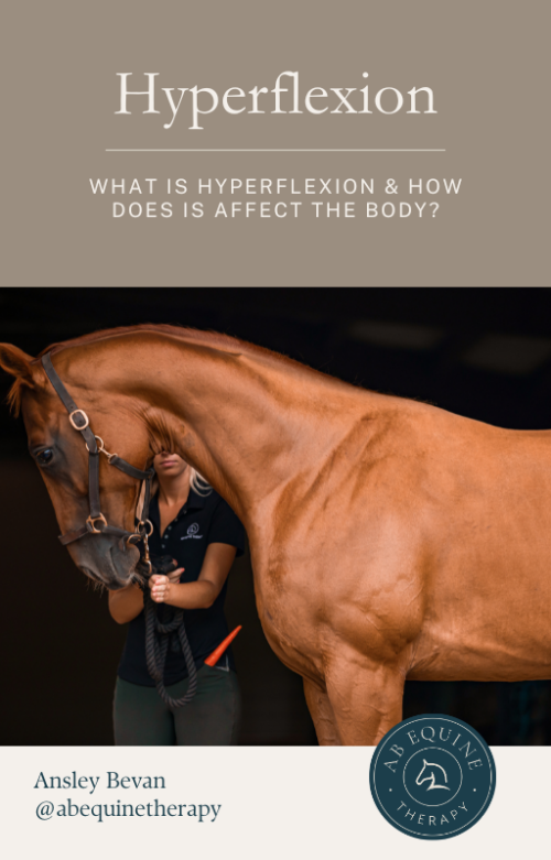 Hyperflexion PDF