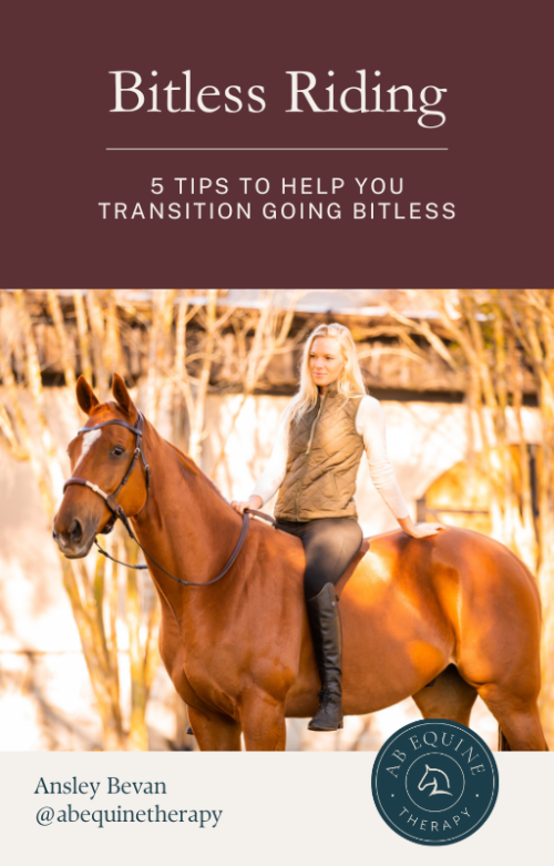 5 Tips to Help Transition to Bitless Riding