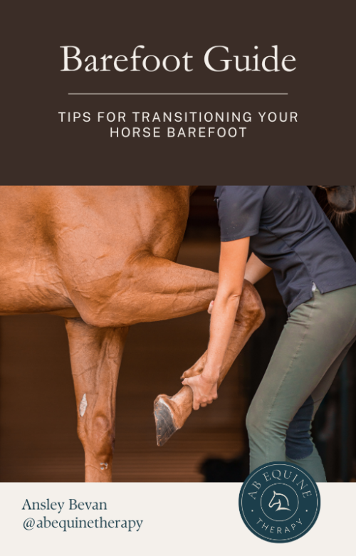 Barefoot Guide