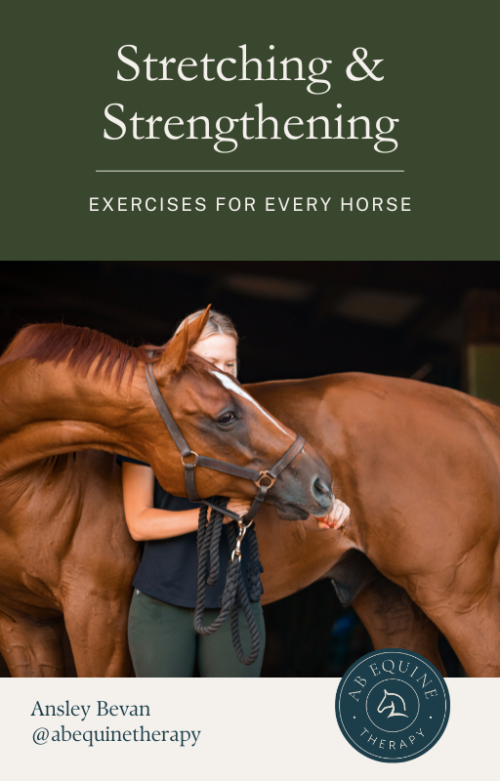 Equine Stretching & Strengthening